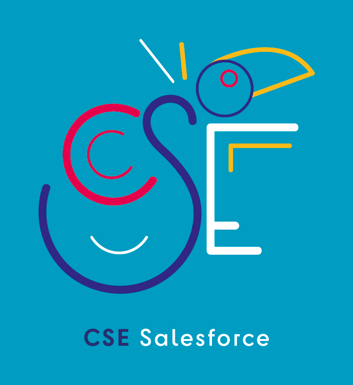 Cabinet CEOS - Nos clients : CSE Salesforce